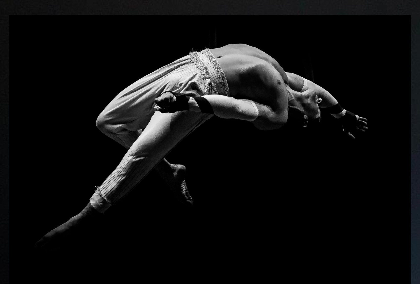 Silks