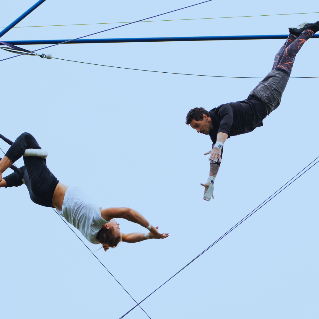 Flying Trapeze
